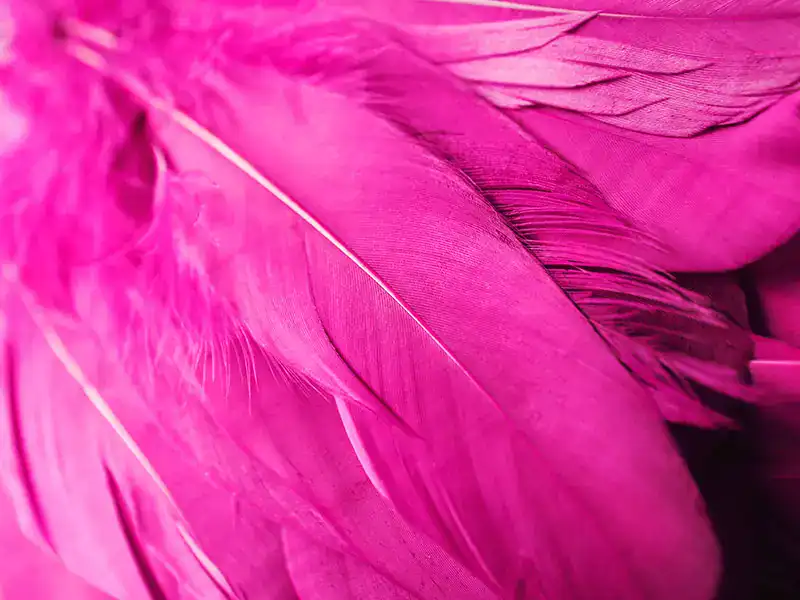 pink